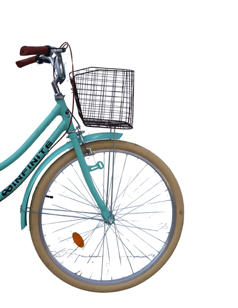 Infinite Bicicleta Vintage Turismo Verde Pastel IF-A2