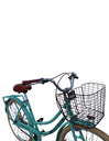 Infinite Bicicleta Vintage Turismo Verde Pastel IF-A2
