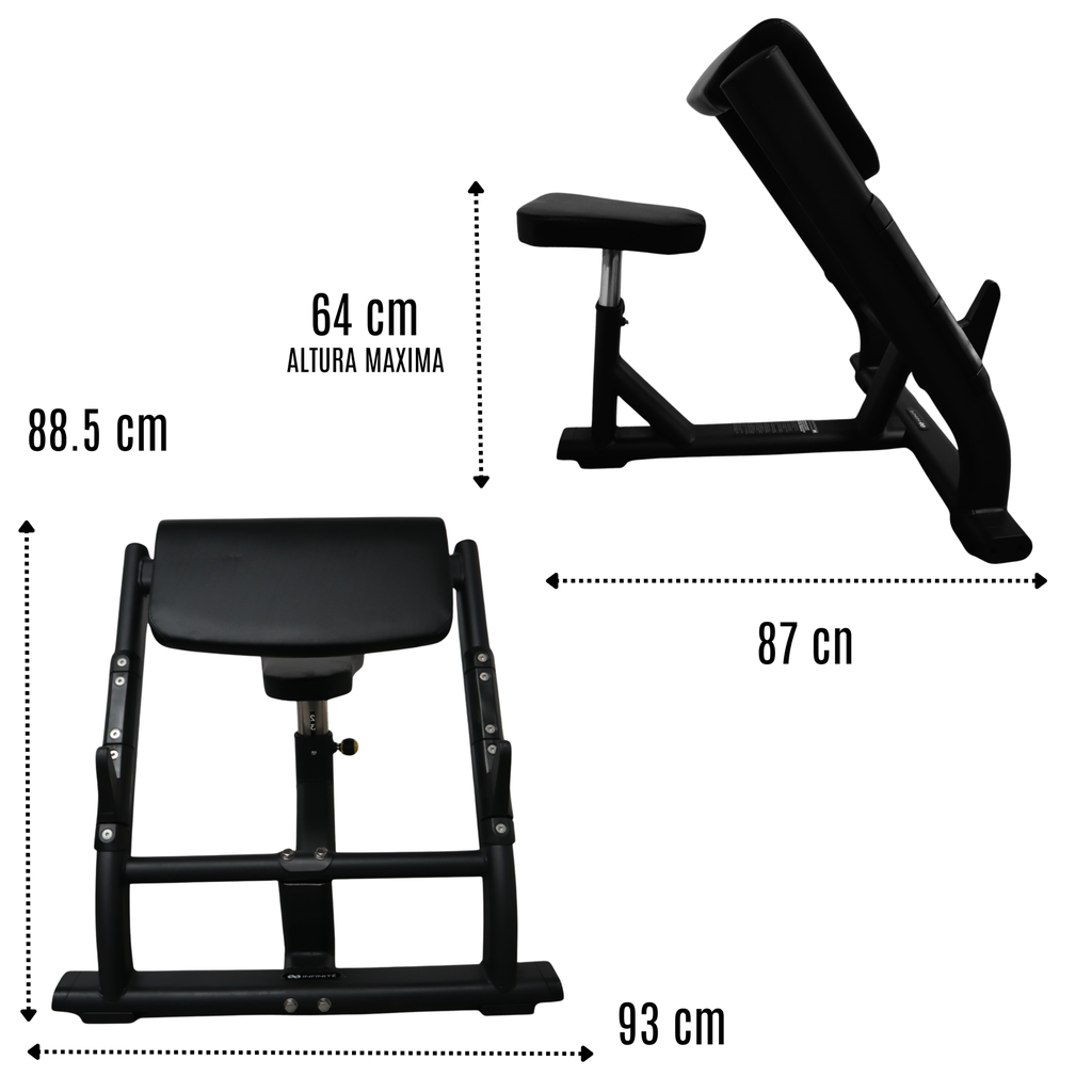Infinité Banco Predicador para biceps / Preacher Curl / Scott Bench IF-FF44