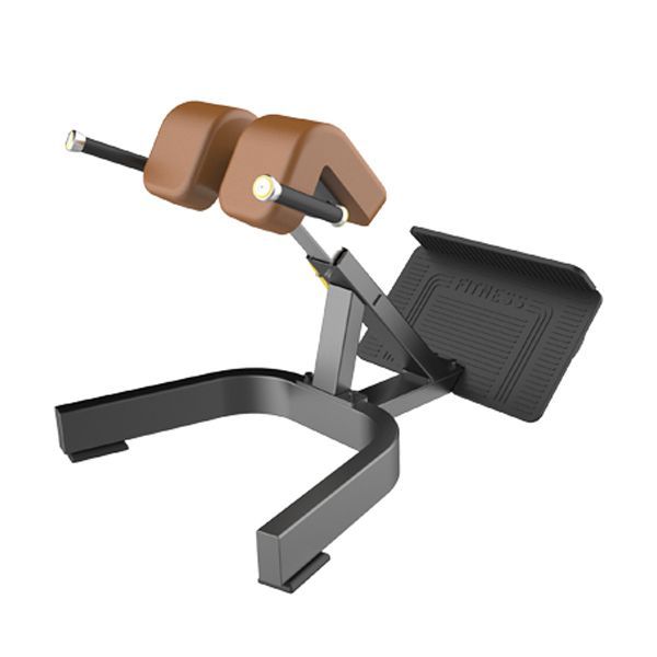 Back Extension-  INFINITE