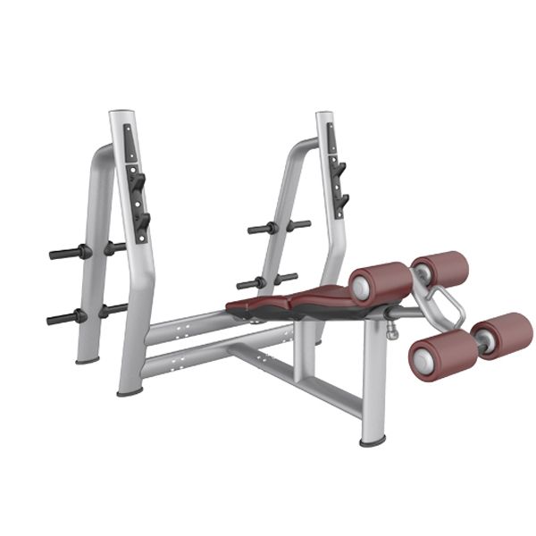 Olympic Decline Bench    INFINITE