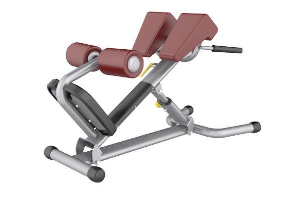 Adjustable Roman Chair    INFINITE