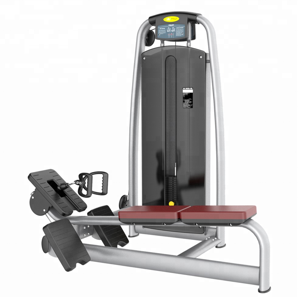 Infinité Remo Bajo Polea Larga/Low Row Long Pulley