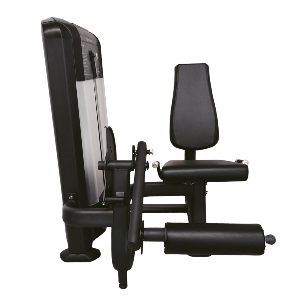 Leg Extension   INFINITE