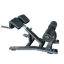 Roman Chair    INFINITE