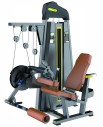 IF-F87 Dual Leg Extension/ Curl Infinité Extensión y Flexión de pierna