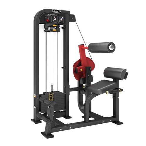 INFINITé Back Extension IF-FM21
