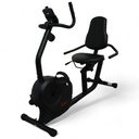 Sunny Health and Fitness Bicicleta Recumbente SF-RB4616SB