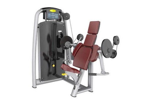 [IF-AN25] Arm Curl  INFINITE