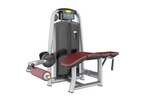[IF-AN37] Prone Leg Curl