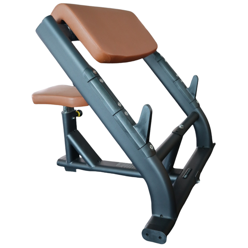 [IF-F44] Seated Preacher Curl